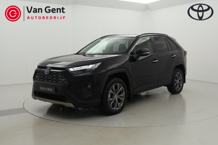 Toyota RAV4 2.5 Hybrid AWD Executive Dodehoek