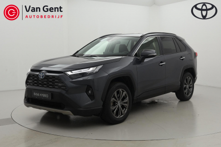 Toyota RAV4 2.5 Hybrid AWD Executive Dodehoek Leder